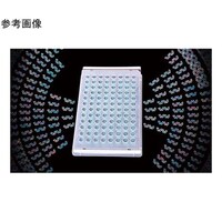 �r�������r�������@�s�������������@�P�Z�b