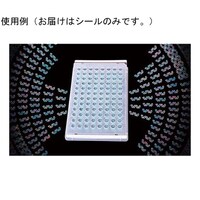 �r�������r�������@�s�������������C�@�r��