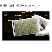 �r�������r�������@�s�������������@�l�`�w