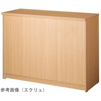 �ؐ��J�E���^�[�@�v�P�Q�O�����@�z���C�g�@