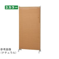 �L���X�^�[�t���u���C���h�p�[�e�B�V�����@�v�X�O�����@�A�C�{���[�@�U�P�|�W�O�P�|�U�O�|�P