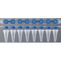 �o�b�q�p�W�A�`���[�u�@�G���S�m�~�N�X�L��