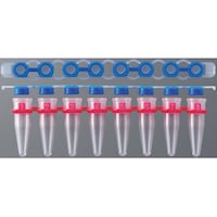 �o�b�q�p�W�A�`���[�u�@�G���S�m�~�N�X�L��