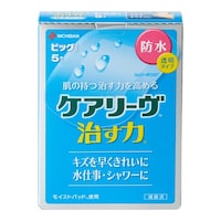 �P�A���[���@�����́@�h���^�C�v�@�r�b�O�T�C�Y�@�T���@�b�m�a�T�a