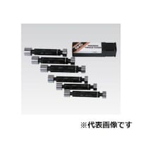 ���E�v���O�i���j�Q�[�W�@�i�h�r�@�a�V�S�Q