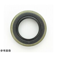 �I�C���V�[���@�t�c�^�@�P�O���@�m�a�q�@