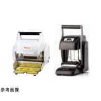 �C�[�W�[�s�A�V���O�V�[���@�`�a�|�O�V�T�V