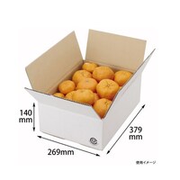 �������ށ@�`�����S���@�R�O���@�d�d�|�R�O