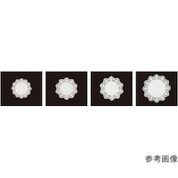 �ی^�i���j�h�C���[���[�X�i�P�O�O�����j��