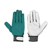 ���M�v���