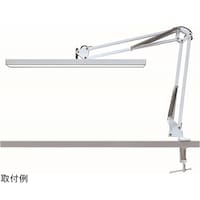 �A�[�����C�g�@�z���C�g�@�s�l�s�k�|�O�O�Q�v�g