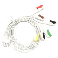 �a�r�����[�U�u���d�b�f���[�h���@���{���d�a�q�|�X�O�U�o�݊��@�U���@�d�o�O�R�T�b�U�h