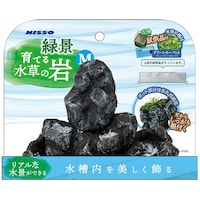 �Όi�E��Ă鐅���̊�@�l�@�m�`�n�|�R�U�U