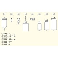 �n�o�r�@�Q�k�@�z�[�X�W���C���g�Q�t