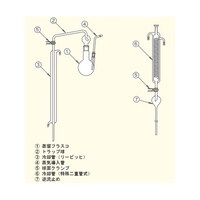 �g���b�v���@���Q�X�^�R�Q�~���P�X