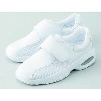 �o�����I�u�Q�@�z���C�g�@�Q�V�D�T�����@�u�Q�d