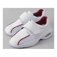 �o�����I�u�Q�@�o�[�K���f�B�@�Q�U�D�T�����@�u�Q�d