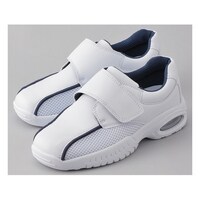 �o�����I�u�Q�@�l�C�r�[�@�Q�R�D�T�����@�u�Q�d