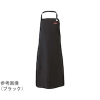 �G�v�����@�l�C�r�[�@�����x�c�C���@�`�k�|