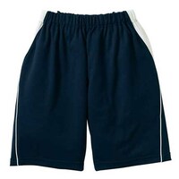 ������p�p���c�@�l�C�r�[�@�S�k�i�҉��Q