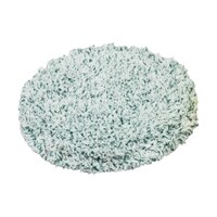 �[�d���}���`�X�N���u�u���V�@�r�b�a�|�P�W�O�p���b�v�@�P�i�Q�����j�@�o�`�|�T�P�T