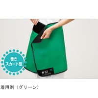 �v���~�A���C�g�@�p�m���}�X�J�[�g�@�O���[���@�����ʂO�D�Q�T�@�l�@�o�r�o�|�l