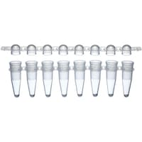 �O�D�Q���k�@�o�b�q�W�A�`���[�u�{�h�[���L