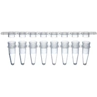 �O�D�Q���k�@�o�b�q�W�A�`���[�u�{�t���b�g