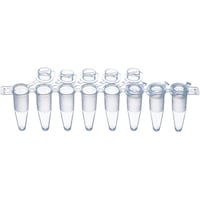 �W�A�o�b�q�`���[�u�@�t���b�g�L���b�v��̌^�@�P���i�P�Q�O�X�g���b�v���j�@�k�s�|�o�b�q�|�W�v�e