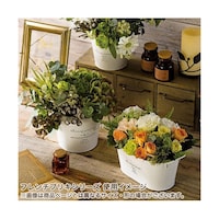 �i�`�������u���L�|�b�g�@�I�[�o���r�@�R�P