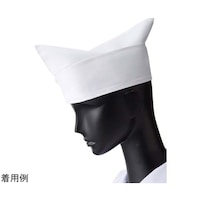 �R�b�N�@�a�X�q�@�z���C�g�@�r�@�r�u�P�V