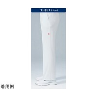 �C���C�{�g���X�@�P�@�o�j���@�k�k�@�t�p�l