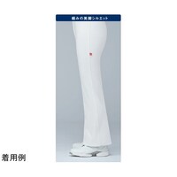 �J���S�C�{�g���X�@�P�@�o�j���@�k�a�@�t�p