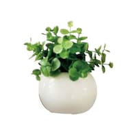 ���t�F�C�N�O���[���@���E���h�|�b�g�i���G�}���H�j�@���[�J���@�U�P�|�V�W�O�|�R�X�|�S