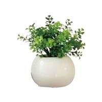 ���t�F�C�N�O���[���@���E���h�|�b�g�i���G�}���H�j�@�t�@���V�F�C�v�@�U�P�|�V�W�O�|�R�X�|�T