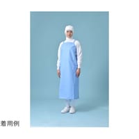 �u�J�[���C���q���^�X�L�@�G�v�����@�u���[