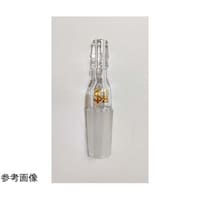 �r�C�ǒ��ǁ@�I�X�^�@�Q�S�^�S�O�@�d�w�g�|�O�S