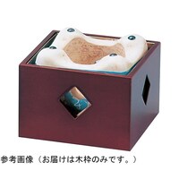 ��˃R�����p�@�t�c�R�����g�i�������j�@�Q