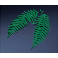 �E���W������i��j�i�P�O�O�����j�@�Q�U�O�T�T