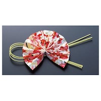 ������q����i���ʃe�[�v�t�j�i�P�O�O����