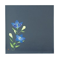 �l�G�N���A�V�[�g