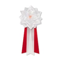 �y���{���o���J�́z�@���{���J�́@��@���@�P�i