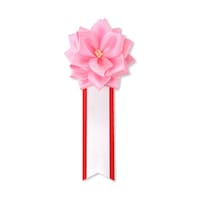 �y���{���o���J�́z�@���{���J�́@���@�s���N�@�P�i