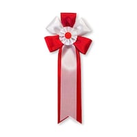 �y�e��p�r�z�@���{�����́@�������@�ԁ@�P