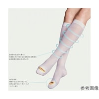 �R���v���l�b�g�v���@�Ђ����@�l�@�P���i�P���^�܁~�P�O�܁j�@�O�Q�O�|�O�O�O�Q�Q�V�|�O�O