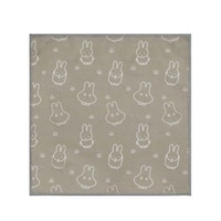 �ӂ���@�}�C�N���t�@�C�o�[�ӂ���@�~�b�t