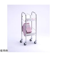 �J���e�J�[�g