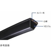 �O�c���x���g�@�u�x���g�@�j�`�@�q�j�T�V