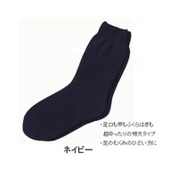 �傫�ȌC���@�a�m�@�H�~�p�@�l�[�r�[�@�T�U�X�R�l�[�r�[