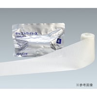 �L���X�g���C�g�E�w�@�R���P�O���@�P�V�X�S�Q